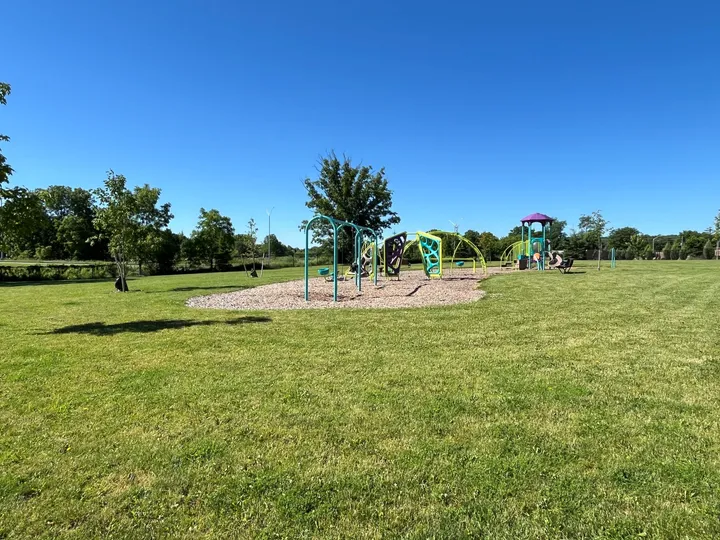 Ground-level view of Birkinshaw Park