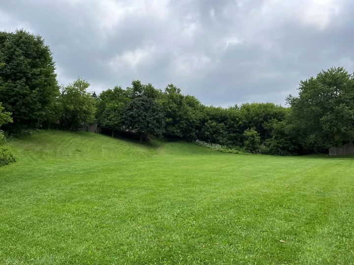 Ground-level view of Byton Lane Park