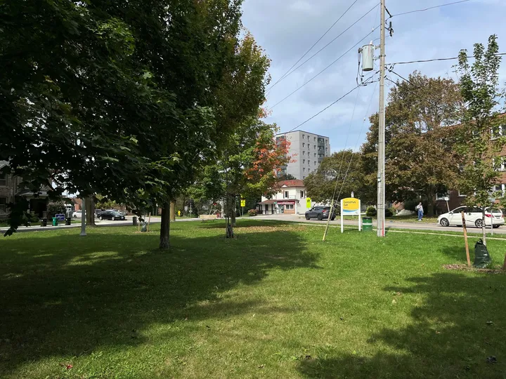 Ground-level view of Central Park (Galt)