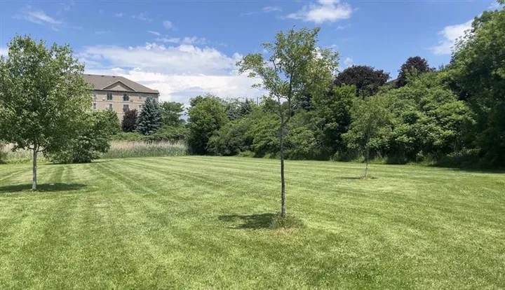 Ground-level view of Clochmohr Park