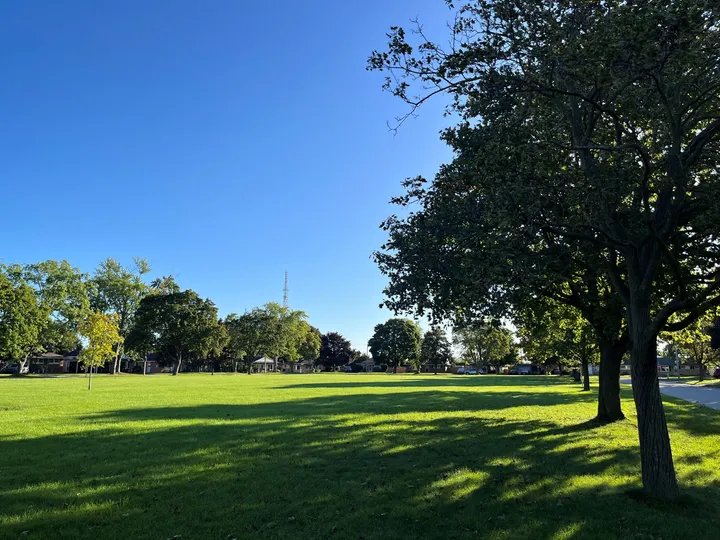 Ground-level view of Dyck Park