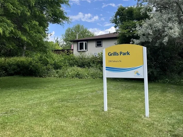 Ground-level view of Grills Park