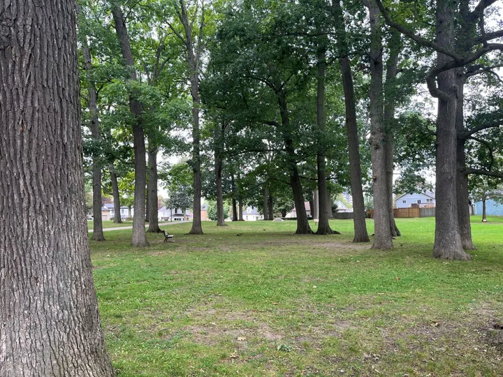 Ground-level view of Lincoln Park