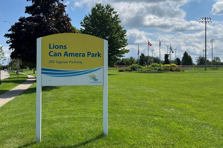 Ground-level view of Lions Can-Amera Park