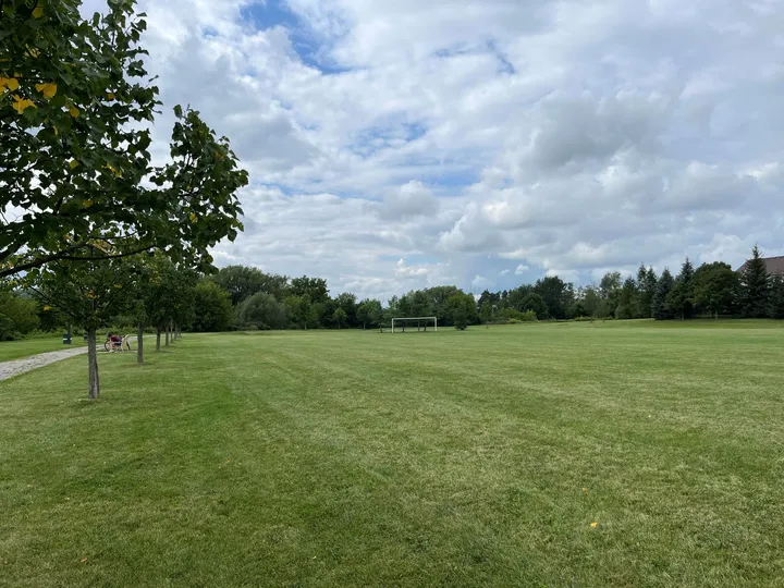 Ground-level view of Mill Pond Neighbourhood Park