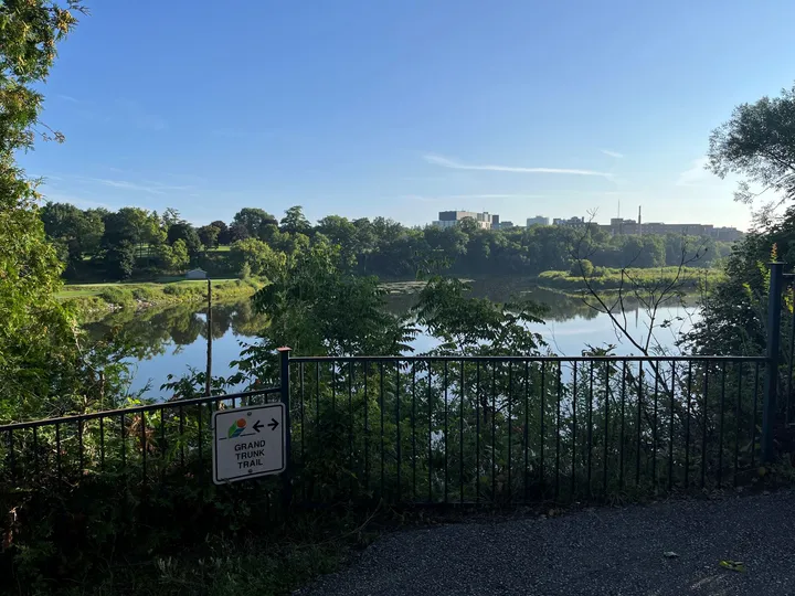 Ground-level view of Morva Park Lookout