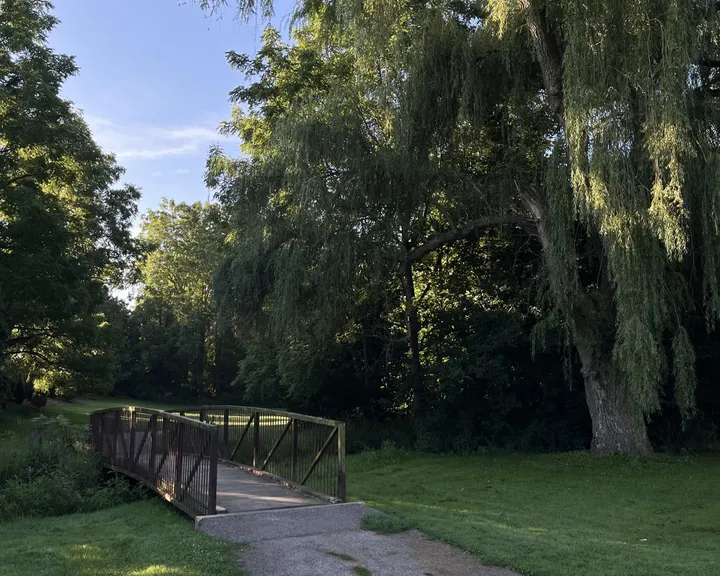 Ground-level view of Morva Rouse Park