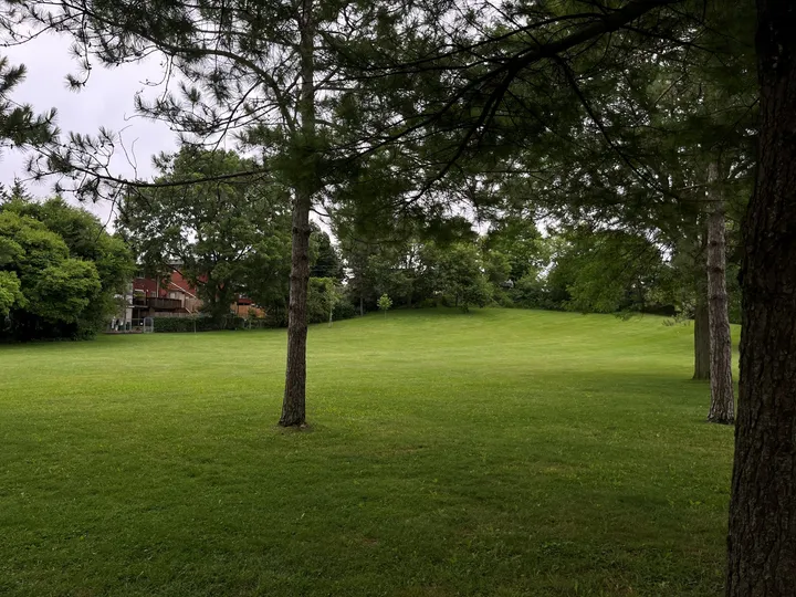 Ground-level view of Otto Klotz Park