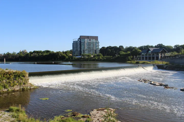 Ground-level view of Parkhill Dam Lookout