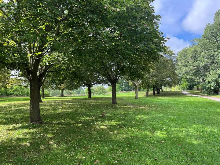 Ground-level view of Percy Hill Park