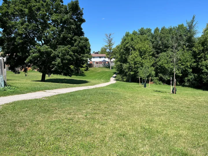 Ground-level view of Ravine Park
