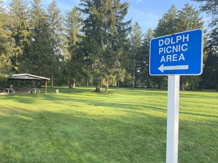 Ground-level view of Riverside Park Dolph Picnic Area