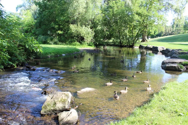 Ground-level view of Soper Park