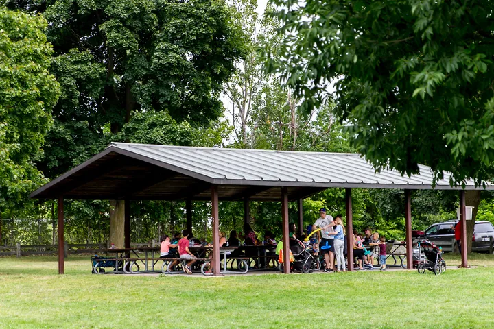Ground-level view of Soper Park Picnic Area