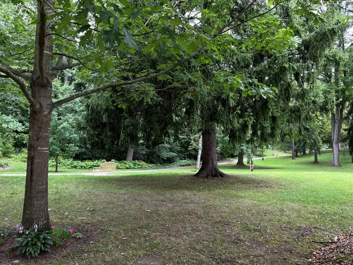 Ground-level view of Victoria Park (Galt)